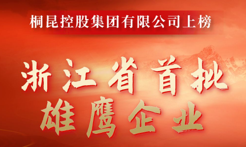 浙江省首批雄鷹企業名單出爐，桐昆成功入選！