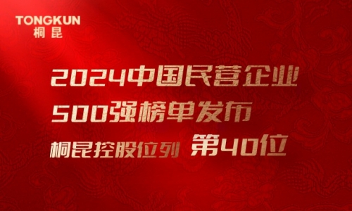 首進前50！桐昆，中國民營企業500強第40位！