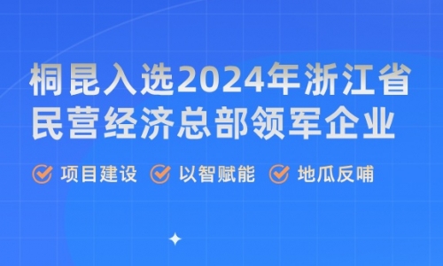 榮譽(yù)丨桐昆，浙江省民營經(jīng)濟(jì)總部領(lǐng)軍企業(yè)！